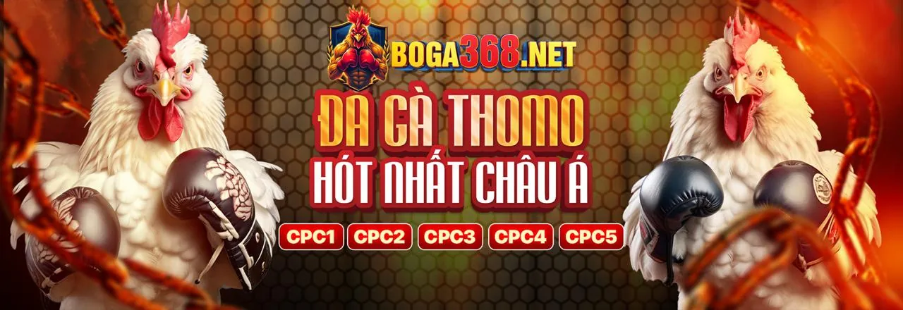 Trò chơi Đá Gà tại nx88