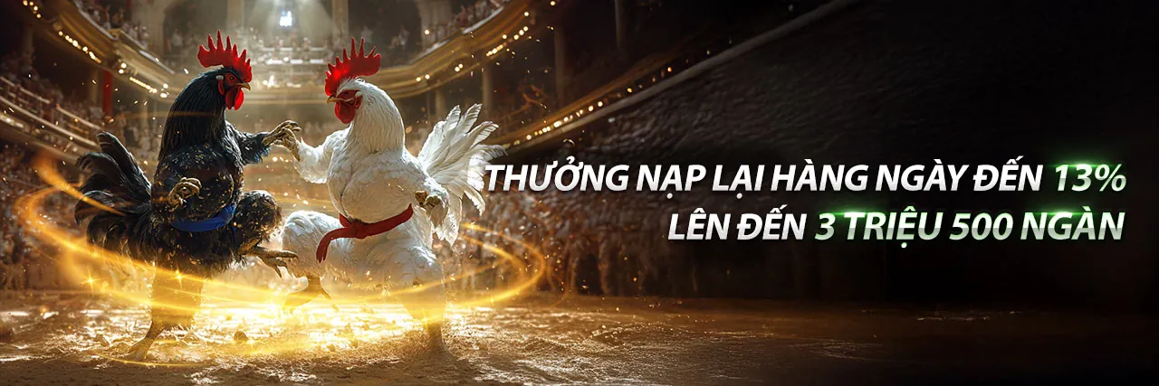 Tổng quan về nx88